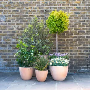 Whitewash Terracotta Egg Planter (D25cm x H22cm) Handmade Outdoor Plant Pot - image 2