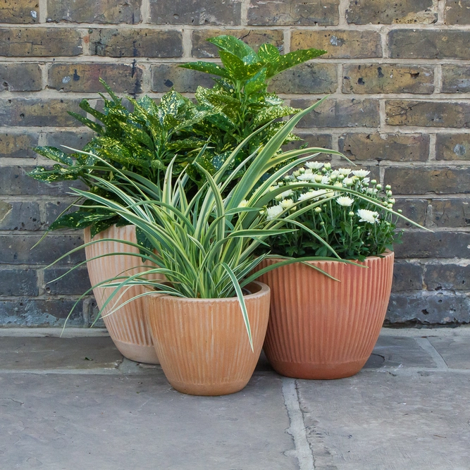 Whitewash Terracotta Handmade Egg Rib Planter (D25cm x H21cm) Handmade Outdoor Plant Pot - image 2