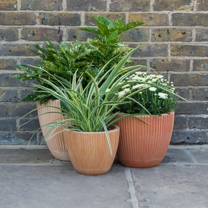 Whitewash Terracotta Handmade Egg Rib Planter (D25cm x H21cm) Handmade Outdoor Plant Pot - image 2