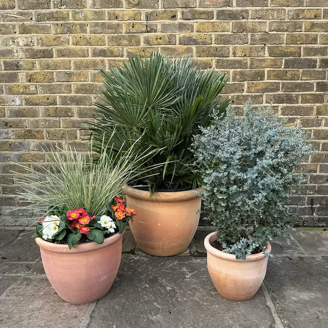 Whitewash Terracotta Egg Rim HP001 (D40xH30cm) Handmade Outdoor Plant Pot - image 2