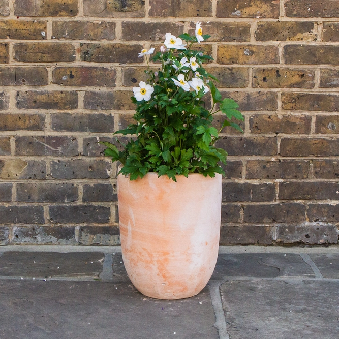 Whitewash Terracotta Handmade Bullet Planter (D31cm x 38cm) Outdoor Plant Pot - image 3