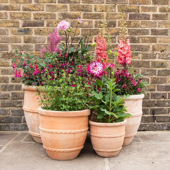 Whitewash Terracotta Handmade Greek Egg Planter (D60cm x H50cm) Outdoor Plant Pot - image 5