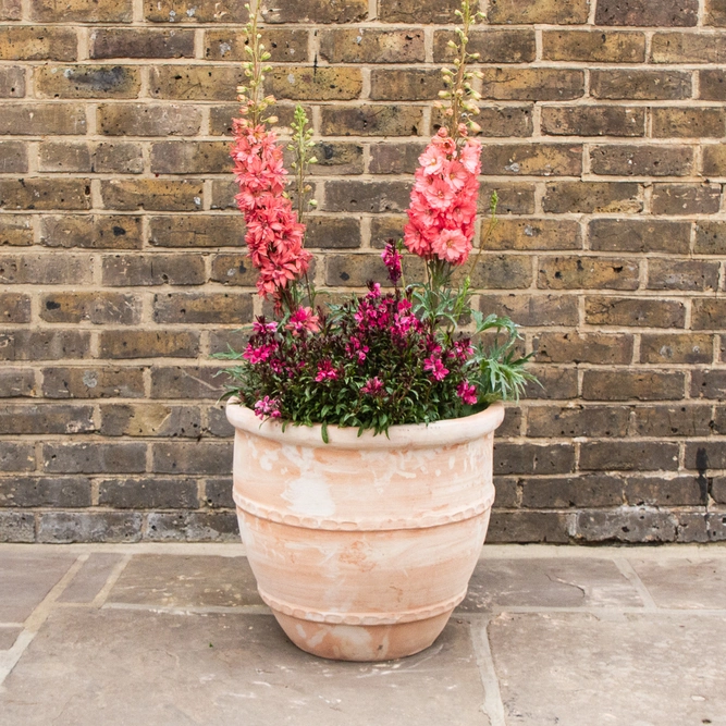 Whitewash Terracotta Handmade Greek Egg Planter (D49cm x H44cm) Outdoor Plant Pot - image 4