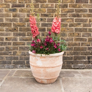 Whitewash Terracotta Handmade Greek Egg Planter (D49cm x H44cm) Outdoor Plant Pot - image 4