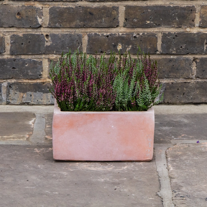 Whitewash Terracotta Handmade Low Square Planter (D25cm x H13cm) Outdoor Plant Pot - image 3