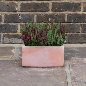 Whitewash Terracotta Handmade Low Square Planter (D25cm x H13cm) Outdoor Plant Pot - image 3