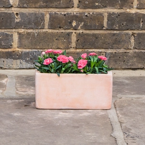 Whitewash Terracotta Handmade Outdoor Trough Planter (Pot size D30cm x H16cm) Outdoor Plant Pot - image 3