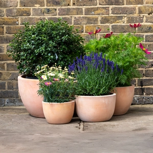 Whitewash Terracotta Low Egg Planter (D30cm x H20cm) Handmade Outdoor Plant Pot - image 2