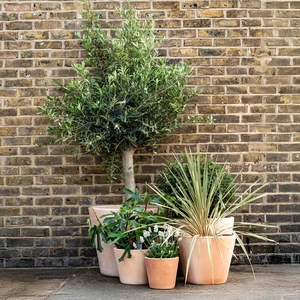 Whitewash Terracotta Planter (D32cm x H27cm) Handmade Outdoor Plant Pot - image 2