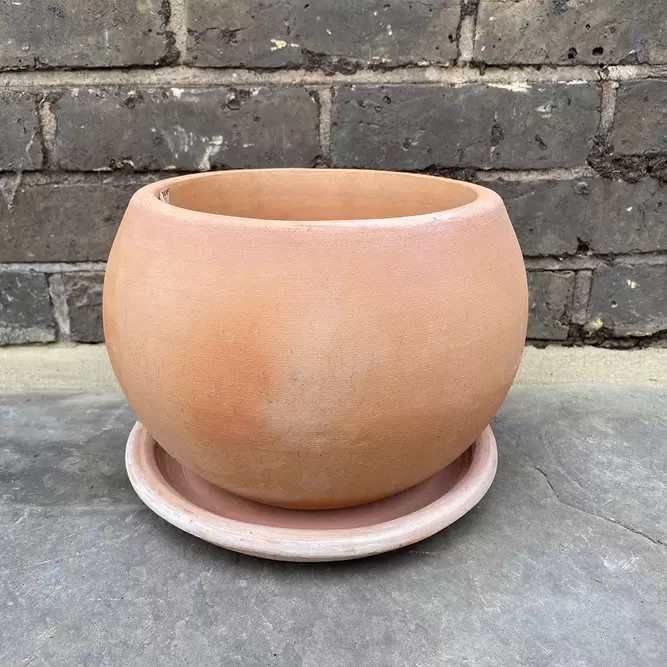 Whitewash Terracotta Saucer (D35cm) Handmade Outdoor Plant Pot Saucer - image 2