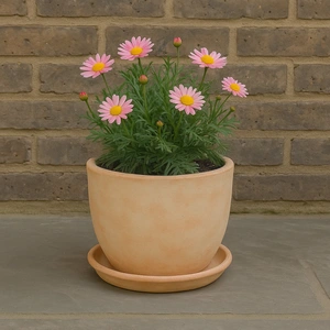 Whitewash Terracotta Saucer Large (D43cm) Handmade Outdoor Plant Pot Saucer - image 4