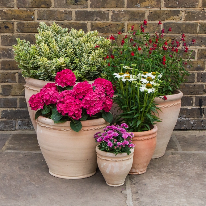 Whitewash Terracotta Stan Cherry Rope Planter (D18cmxH17cm) Handmade Outdoor Plant Pot - image 3