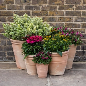 Whitewash Terracotta Stan RIng Planter (D18cm x H17cm) Handmade Outdoor Plant Pot - image 2