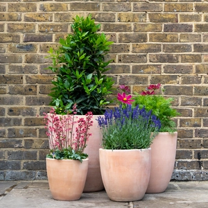 Whitewash Terracotta Tall Egg Planter (D25cm x H25cm) Handmade Outdoor Plant Pot - image 2