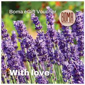 "With Love" eGift Voucher