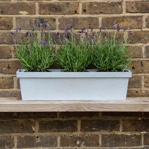 Zinc Trough Window Box Planter - Matt Grey (L60cm x W17cm x D16cm)
