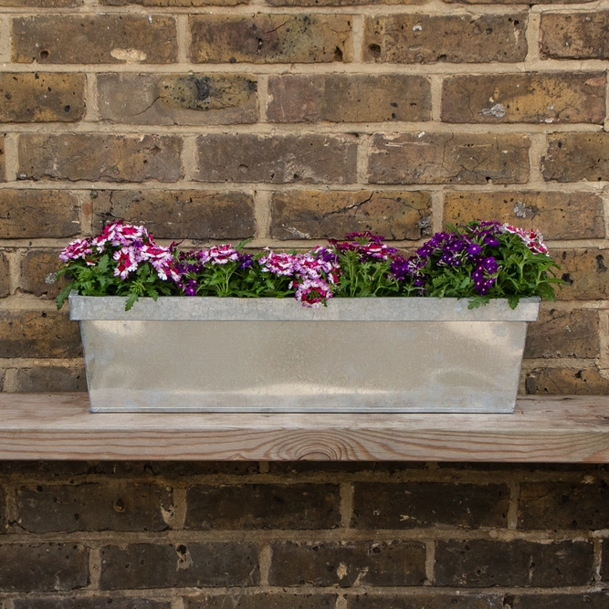 Zinc Trough Window Box Planter - Natural (L50cm x W17cm x H16cm) - image 1